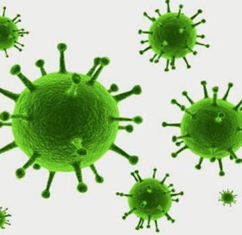 Вирус Эпштейна-Барр капсидный белок, Ig G
